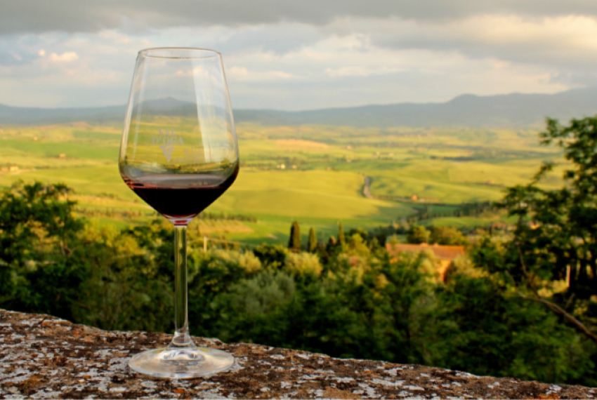 Discover Istrian wine tourism - taste top wines in a beautiful landscape