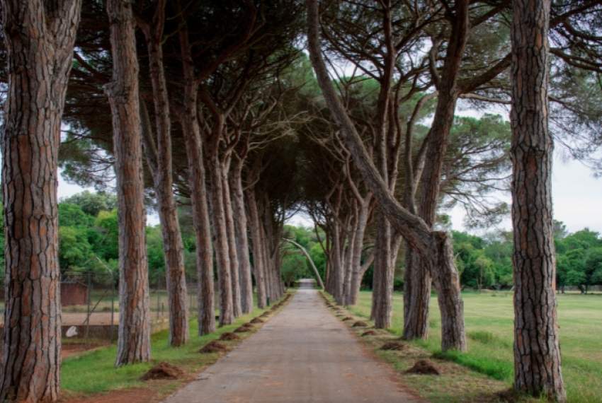 Escursioni nella natura del Parco Nazionale di Brijuni, della Baia di Lim e delle altre bellezze nat