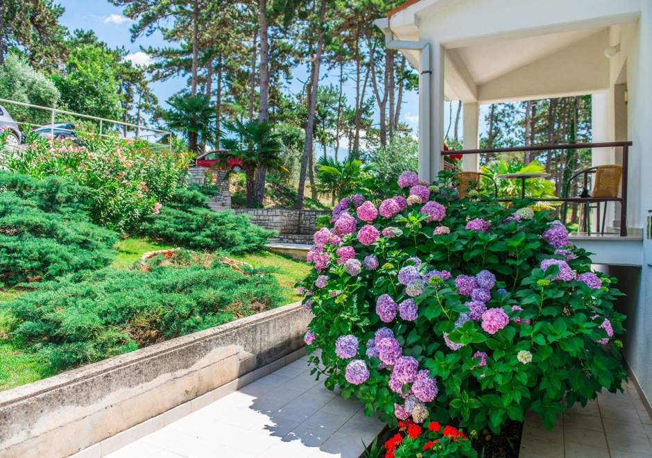 Studio-Apartment Pino Rabac A3