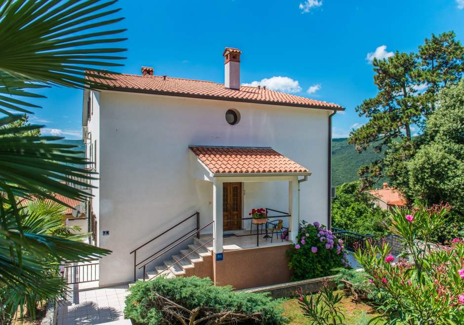 Studio-Apartment Pino Rabac A3