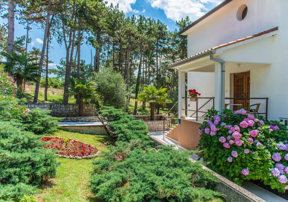 Studio-Apartment Pino Rabac A3