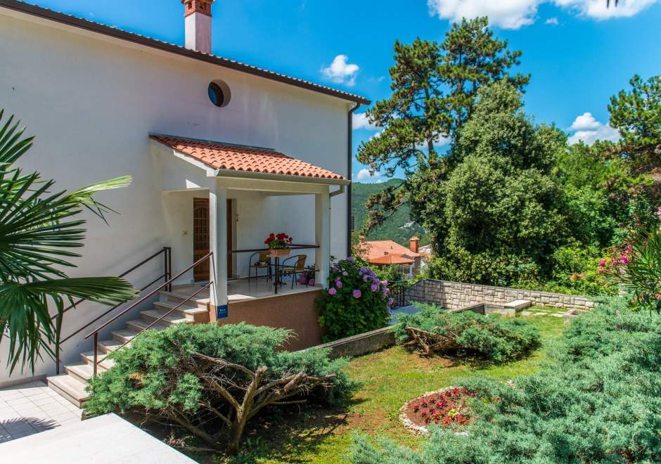 Studio-Apartment Pino Rabac A3