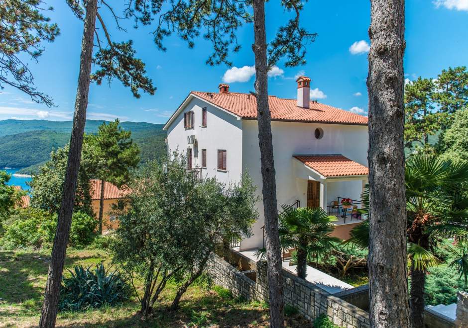 Studio-Apartment Pino Rabac A3