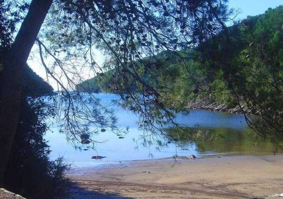 Apartment Coraline on Korcula, seafront