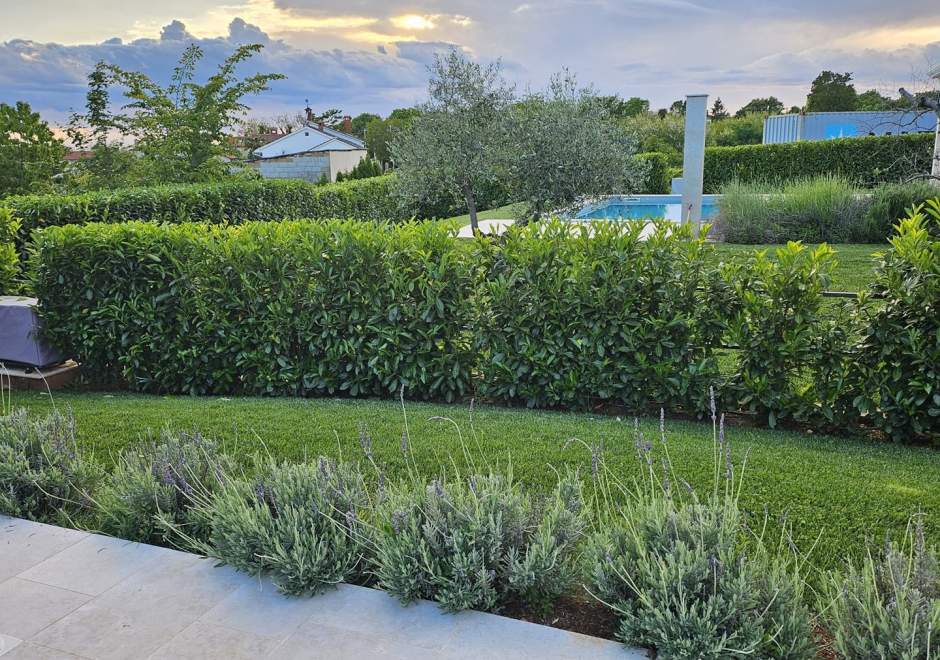 Villa Alloro Muntrilj with pool