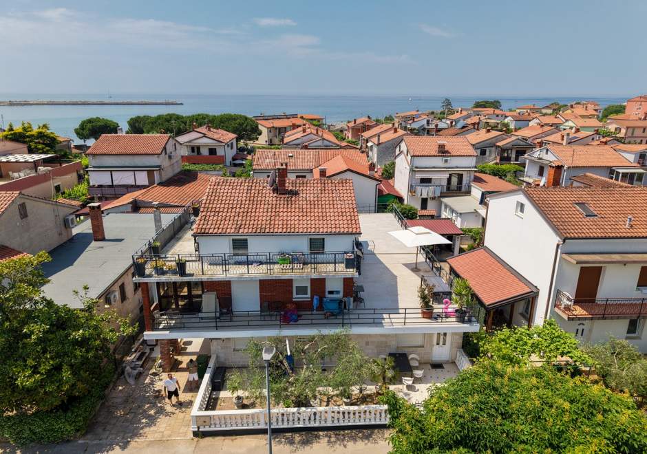 App Moela Umag