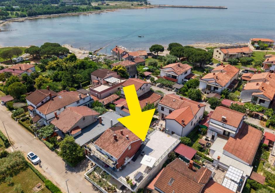App Moela Umag