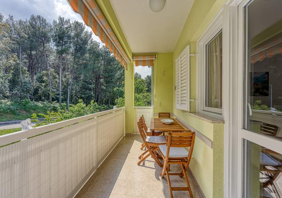 Apartment Pavluk with Balcony