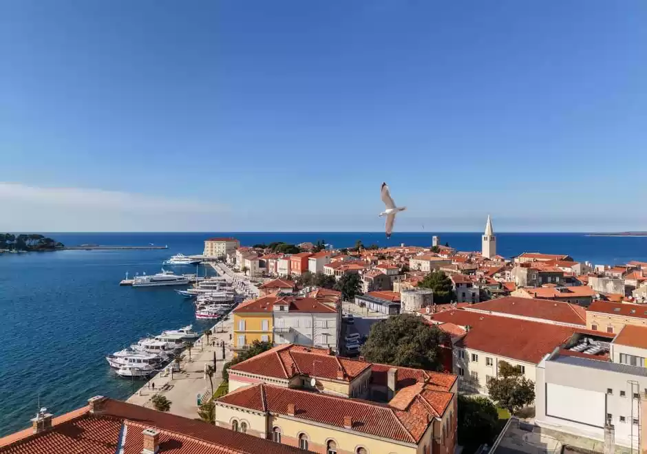 Viktoria's Apartments / Studio