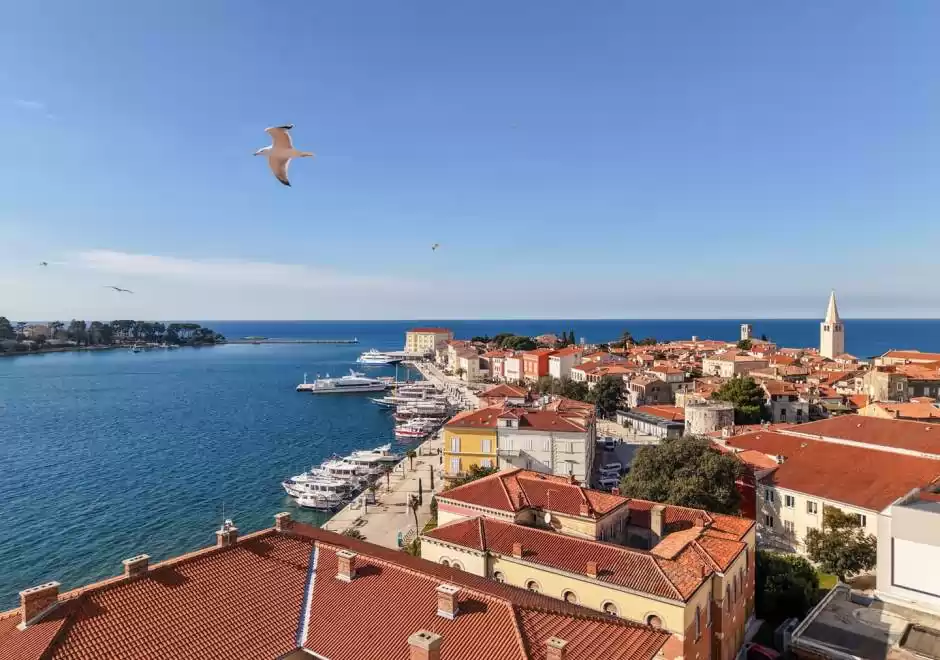 Viktoria's Apartments / Two-bedroom Apartment