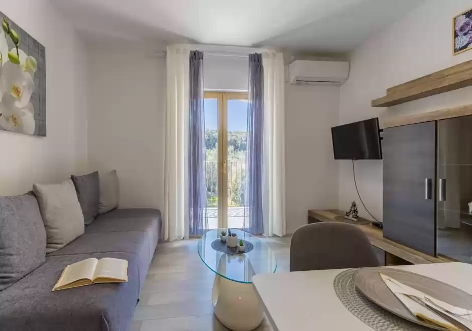 Milankovic Apartments - Appartmento A1