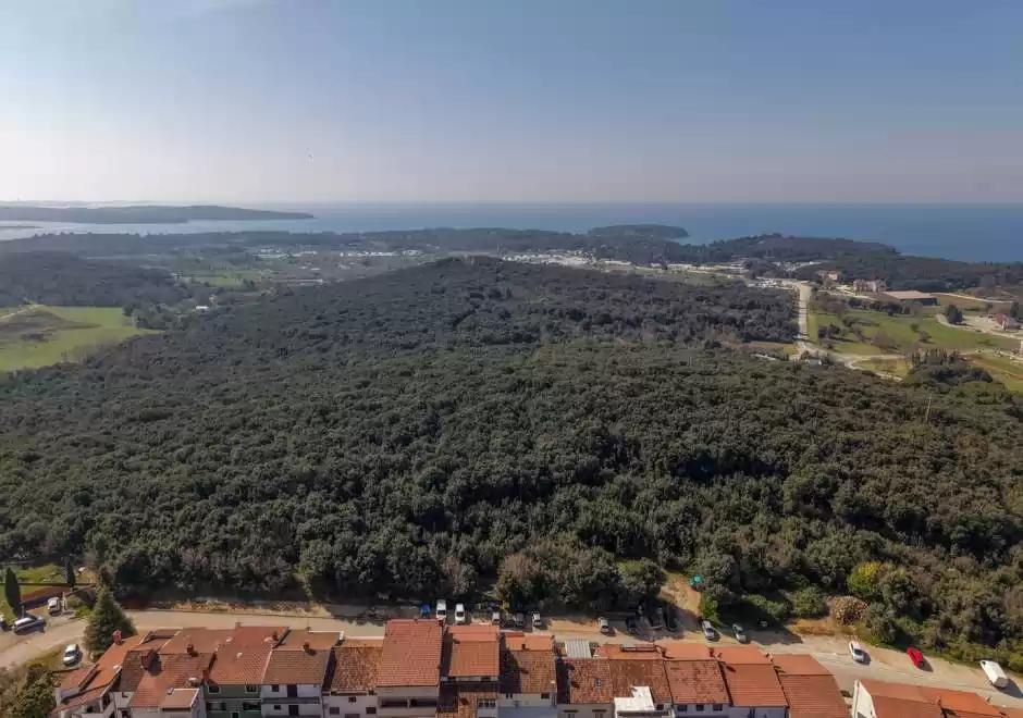 Milankovic Apartments - Apartment A2