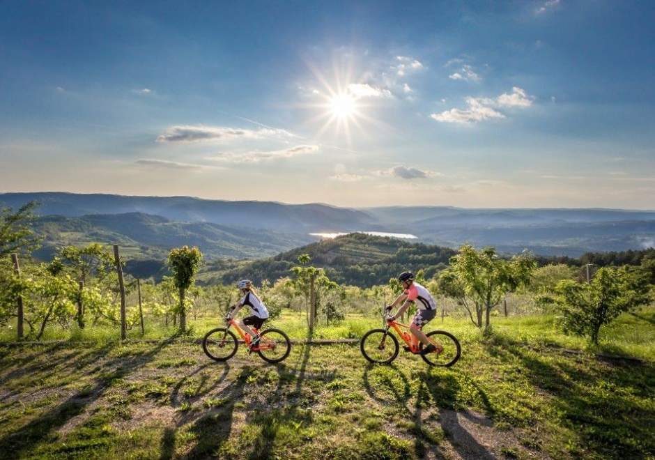 Holiday Home Istria Pipo