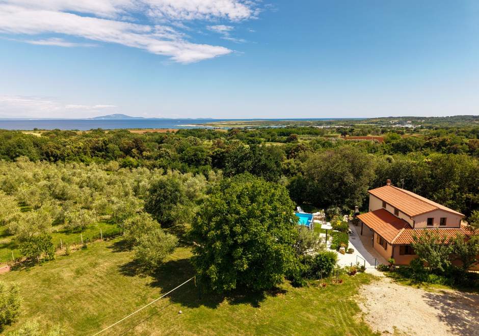 Holiday Home Palera 1