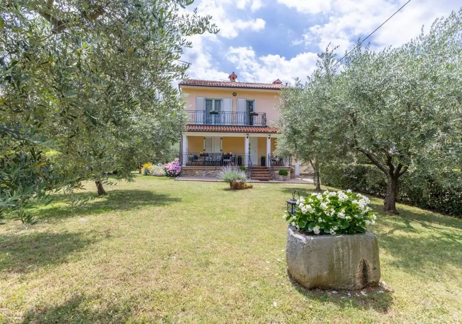 Apartment Oaza 