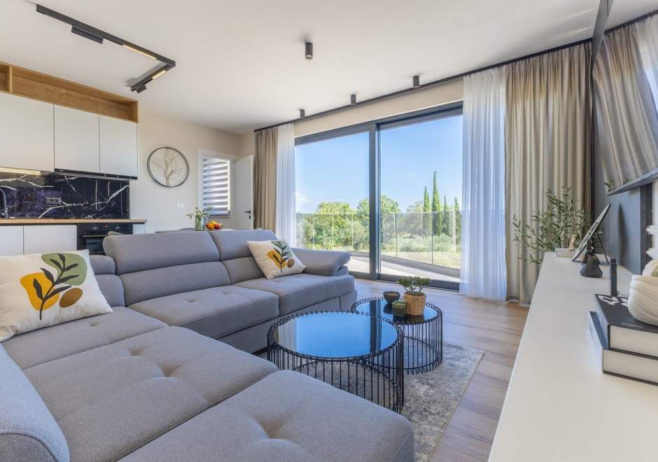 Luxury Apartment Olearis