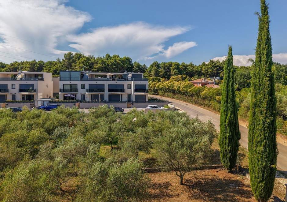 Luxury Apartment Olearis