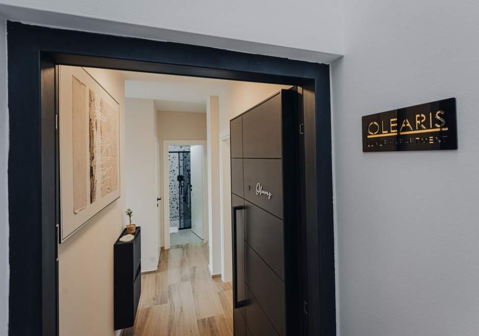 Luxury Apartment Olearis