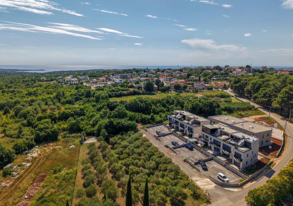 Luxury Apartment Olearis