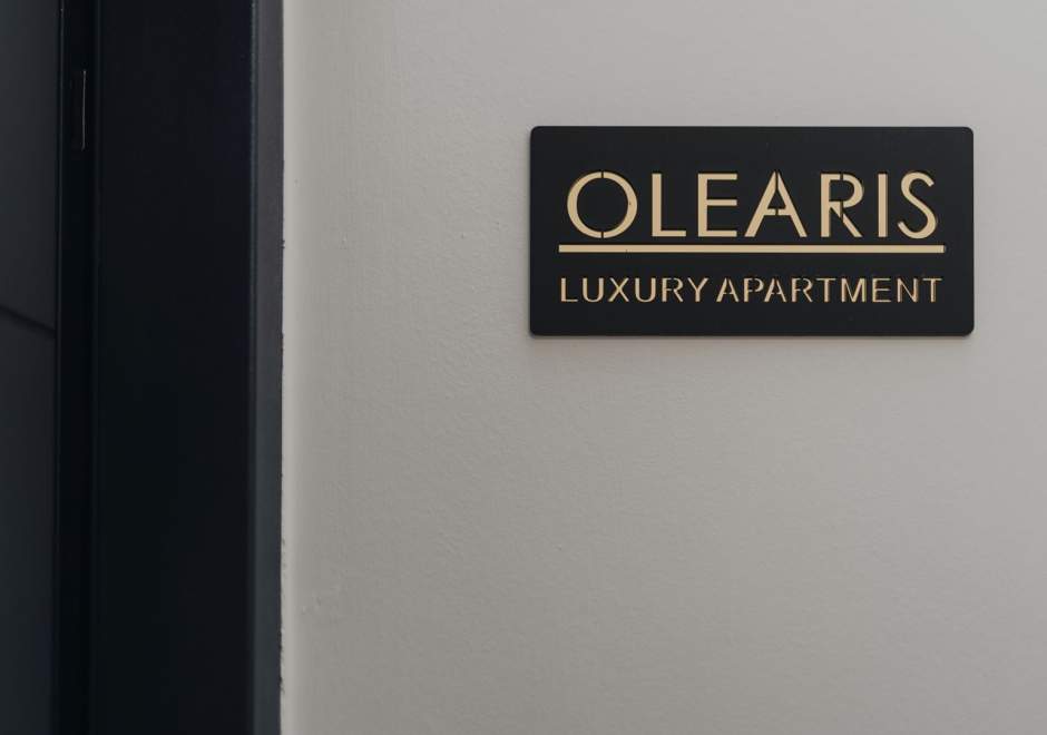 Luxury Apartment Olearis