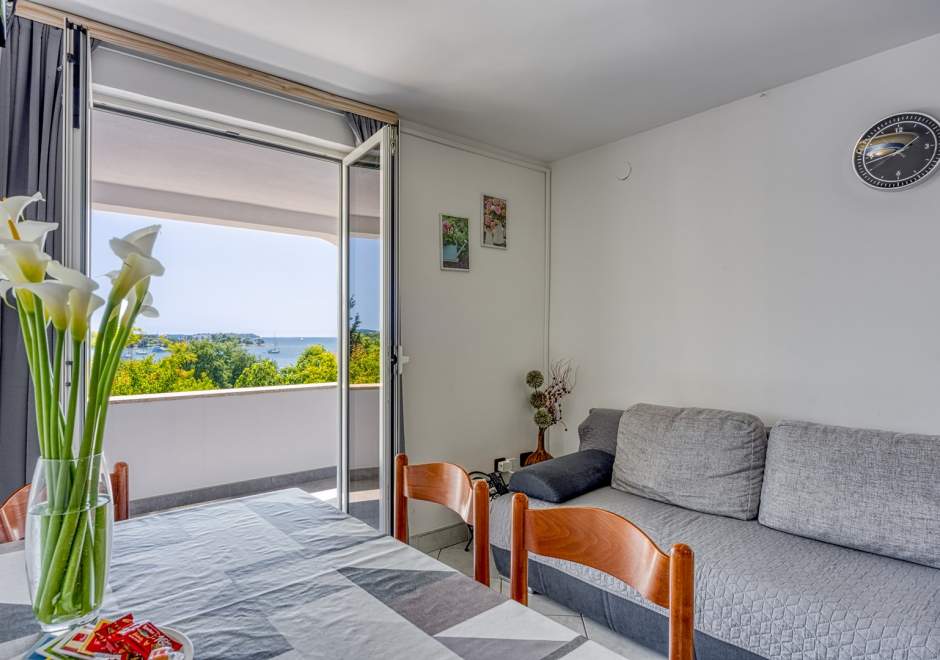 Ferienwohnung Saladinka III