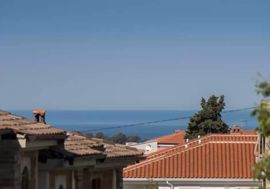 Apartment Bruneta with Sea View