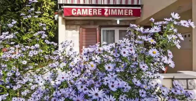 Zwei-Zimmer-Wohnung Pino A3 in Strandnähe