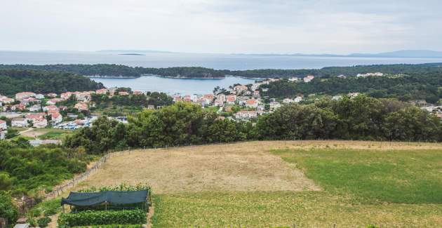 Wohnung Lidija A1 Blau in Palit - Insel Rab