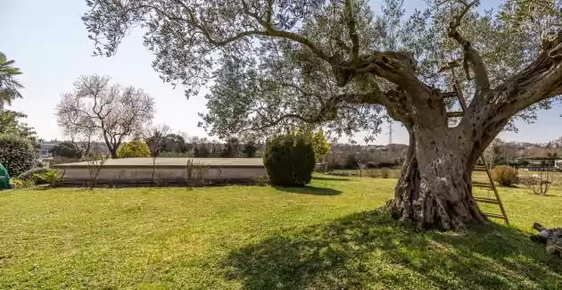 Ferienwohnung Cohar in Rovinj