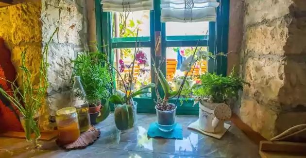 Authentic House Villa Albazora in Central Istria
