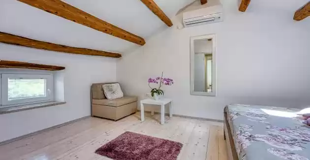 Villa Lana with private pool near Labin