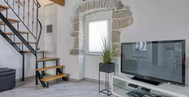 Villa Lana with private pool near Labin