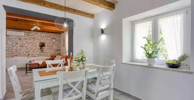 Villa Lana with private pool near Labin