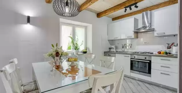 Villa Lana with private pool near Labin