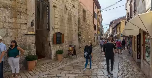 Affascinante Villa Luce Ribari in Istria