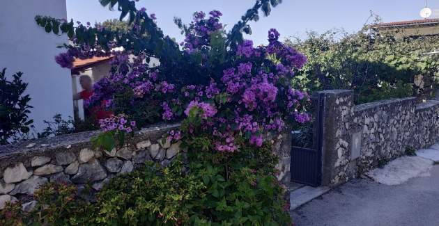 Ferienwohnung Lavanda Nova mit zwei Schlafzimmern - Ražanj