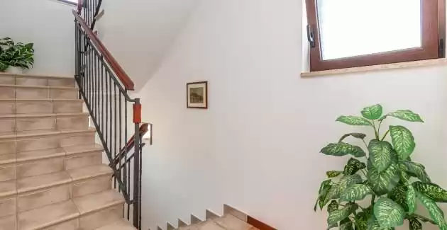 Apartmani Banko / Jednosobni A4 - Rovinj