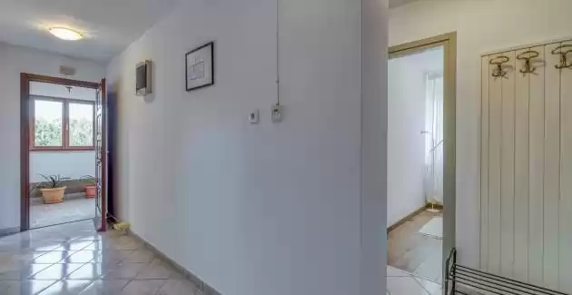 Apartman Nino - Rovinj