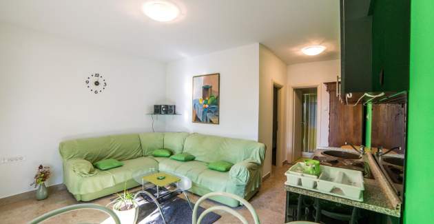 One Bedroom Apartment Pud Oreh - Roc