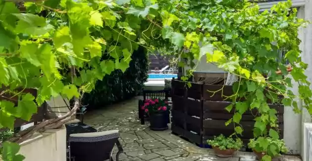 Villa Betiga / Apartman Pula A5 - Barbariga