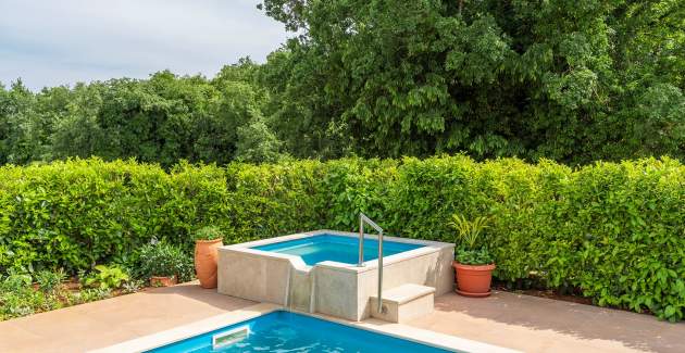 Apartment Visnjan II with Pool View