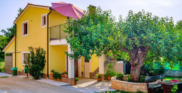 Studio Apartment Gianni with balcony