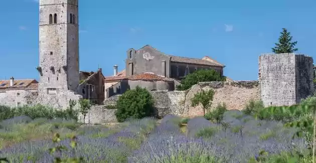 Casa Vacanze Kosuta con Piscina