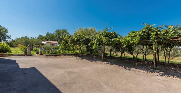 Appartamento Vetrina A1 con Balcone