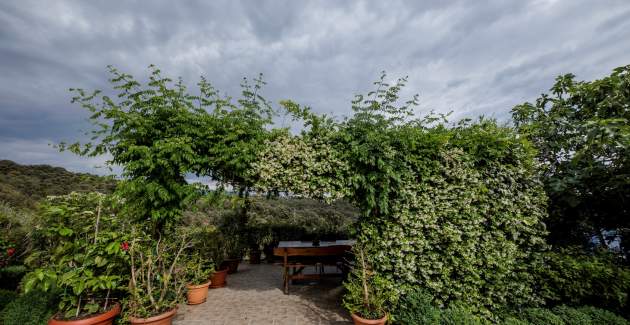 Appartamenti Anica Kampor / One Bedroom A8