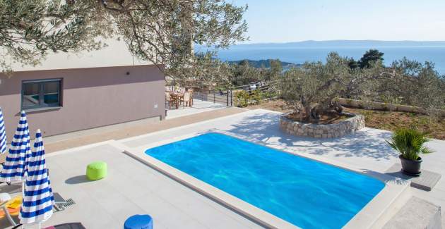 Villa Ribica with private pool in Makarska