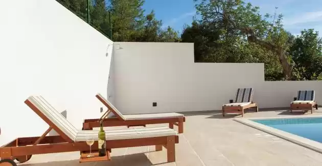 Villa Lovely maiden near Vela Luka, pool
