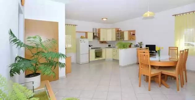 Villa Radosevic near Split, heated pool