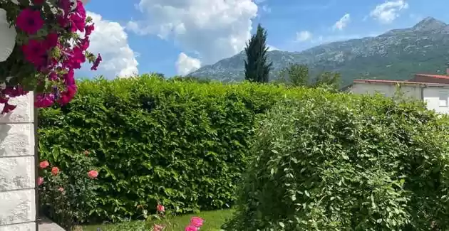Villa Radosevic near Split, heated pool