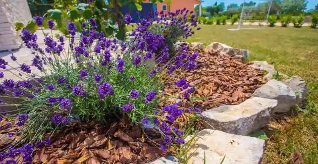 Bellissima Casa Vacanze Tana